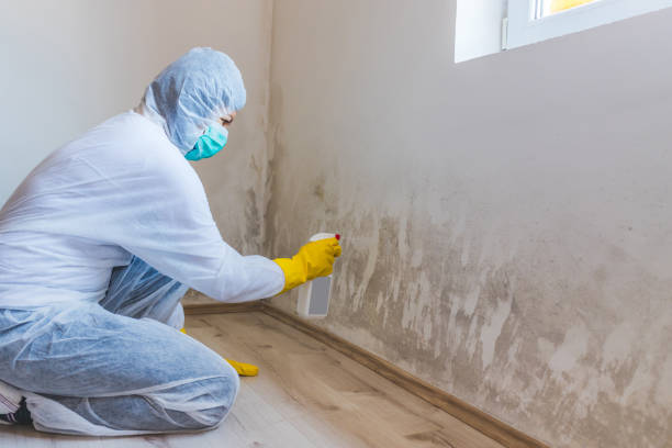 Crawl Space Mold Remediation treatment of floor joists in Sugar Land